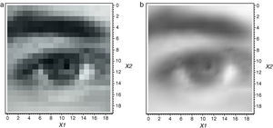 (20×20)-resolution grayscale image. (a) In a pixel format. (b) In a piecewise-linear functional format.