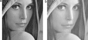 (100×100) grayscale image: (a) in a traditional pixel format and (b) in a piecewise-linear function interpolated format.