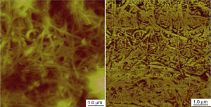 Atomic force microscopic images for nanogrease made of SWNTs.