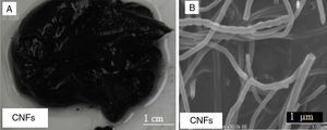 (A) Digital camera images for nanogrease made of 8wt% CNFs, (B) SEM images CNFs used to make the nanogrease.