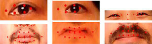 Examples of tracking errors with CLM-Z across four different sequences. Often the eyes are misaligned, facial hair confuses the size and location of the mouth, and the fine shape of the mouth is also lost.
