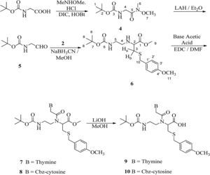 Synthesis of thiol-modified PNA monomer containing pyrimidine nucleobases.