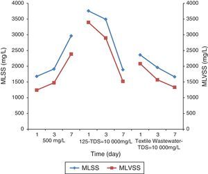Changes in MLSS and MLVSS concentrations during the treatment of 3 samples: 1 – synthetic wastewater containing a dye concentration of 500mg/L and low salt; 2 – synthetic wastewater containing a dye concentration of 125mg/L and TDS concentration of 10,000mg/L; 3 – real textile wastewater with a TDS concentration of 10,000mg/L. 500mg/L: synthetic wastewater with dye concentration of 500mg/L; 125-TDS=10,000mg/L: synthetic wastewater with dye concentration of 125mg/L and TDS concentration of 10,000mg/L; Textile Wastewater-TDS=10,000mg/L: real wastewater from textile factory with TDS concentration of 10,000mg/L; MLSS: mixed liquor suspended solids; MLVSS: mixed liquor volatile suspended solids.