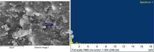 SEM images with EDS spectrum of GA with 0.4% by weight of polymer.