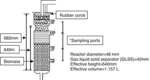 Schematic diagram of UASB reactor.
