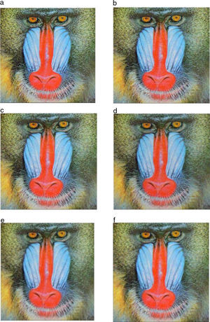 Color image of baboon for visual perception: (a) original image, (b) image with Gaussian noise σ=20, (c) Gaussian smoothing filter, (d) AFD filter, (e) AFI filter, (f) Proposed FDZP 2D filter.