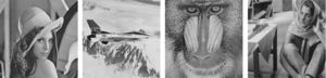 512×512 sized, grayscale test images. From left to right are, Lena, Airplane, Baboon and Barbara.