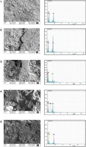 SEM micrograph and EDS analysis of sample 1–5.