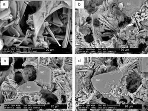 Deep-etched BSE micrographs showing morphology of interdendritic eutectic silicon of (a) A356 alloy and MMCs containing, (b) 10, (c) 20, (d) 25wt% SiCp.