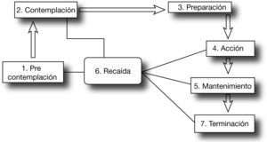Representación de las 7 etapas del cambio del Modelo Transteórico Adaptada de Cabrera GA et al.17.