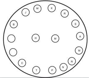 Adaptación del círculo realizado por doña M.M.