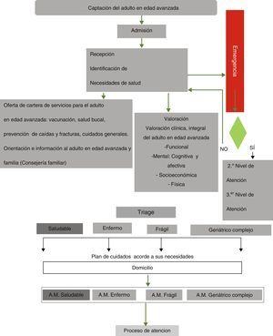 Diagrama de atención del adulto en edad avanzada.