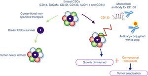 Breast cancer stem cells with specifics antigens: CD44, EpCAM (epithelial cell adhesion molecule), CD49f, ALDH-1 (aldehyde dehydrogenase), CD34 and CD133. Conventional non-specifics therapies allow newly tumor formation due to they do not attack cells responsible for tumor survival (CSCs). Accordingly to literature CD133 could be used as a target for immunotherapy giving tumor growth diminished and possibly upon combine conventional treatments we could obtain better outcomes in clinical settings.