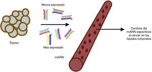 Los microARN en el diagnóstico del cáncer. La composición de miARN en el suero u otros líquidos corporales muestra diferencias en los individuos con algún tipo de cáncer en particular.