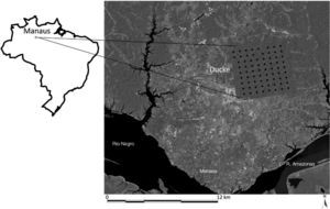Location of Ducke Reserve, adjacent to the city of Manaus in the Brazilian Amazon. Points indicate 1km-equidistant sample plots.