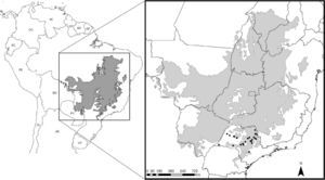 Location of occurrence data of Phalotris lativittatus used for the distribution modeling process. Gray area represents the extent of the Cerrado. Occurrence points apparently outside the Cerrado represent occurrences in small patches of this biome that could not be visualized at this scale.