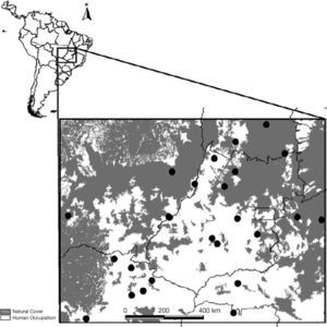 Geographic distribution of the 25 populations (localities sampled) for D. alata in the analyzed Brazilian Cerrado. Dark regions indicate remnants of natural vegetation in the region.