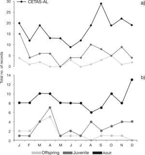 Records for the sloth Bradypus variegatus by age class in a) CETAS-AL – Screening Center for Wild Animals from Alagoas (2009-2012) and b) DEPAVE-SP – Fauna Division from São Paulo (November 1992-2012). Vertical scales are different.