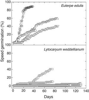Cumulative seed germination percentage of Euterpe edulis and Lytocaryum weddellianum in Ψ=0 (light=open square and dark=open circle), Ψ=−0.4 (open triangle), Ψ=−0.8MPa (inverted open triangle) and flood (open lozenge) treatments. Values are means, n=10.