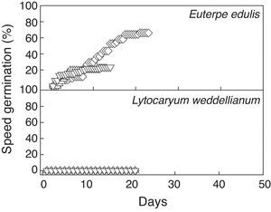 Cumulative seed germination percentage of the germinability test of Euterpe edulis and Lytocaryum weddellianum at Ψ=0MPa after being subjected to Ψ=−0.4 (open triangle), Ψ=−0.8MPa (inverted open triangle) and flood (open lozenge) treatments. Values are means, n=10.