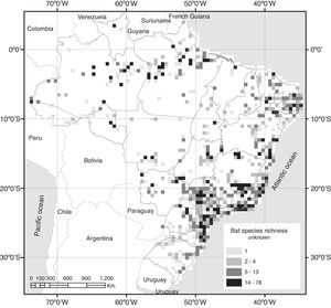 Bat species richness in Brazil grouped in cells with 0.5° of latitude×0.5° of longitude.