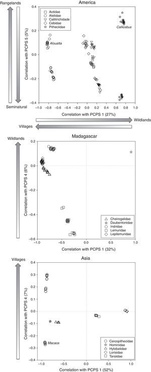 Correlation scatter plot for primate phylogenetic clades and land use categories showing correlation values with the PCPS in America, Madagascar and Asia. Each point represents a primate species and species are grouped within families represented by different symbols. Arrows indicate the direction of the correlation between the principal coordinates of phylogenetic structure (PCPS) and the cover of land use categories. The names in italic correspond to a specific genus inside the family.
