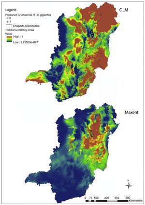 Bahia and Minas Gerais maps from GLM and Maxent distribution models.
