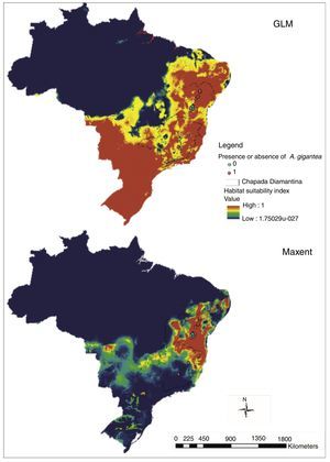 Brazil maps from GLM and Maxent distribution models.