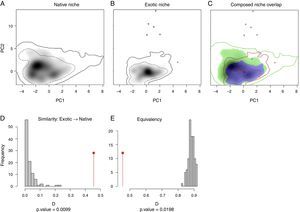 Niche overlap between the native and exotic ranges of T. stans obtained through Petitpierre et al. (2012) and Broennimann et al.’s (2012) framework. (A) Niche occupied by T. stans in its native range. (B) Niche occupied by T. stans in its exotic range. (C) Composed niche overlap of both ranges (native vs. exotic). (D) PCA-env performed with the seven environmental variables obtained from our Factor Analysis, considering a buffer between 120 and 275km around the known occurrences of T. stans in both native and exotic ranges used as the background in the analysis. (E) Niche similarity of the exotic range to the native one. (F) Niche equivalency between native and exotic ranges of T. stans. The solid and the dashed lines in (A), (B), and (C) correspond to 100% and 50%, respectively, of the available (background) environment for each range of T. stans considered in the analysis. The colors in (C) are red for niche expansion, blue for niche stability, and green for niche unfilling. The red arrow represents the centroid shift between the native and exotic niche and the blue arrow represents the centroid shift between the native and exotic backgrounds.