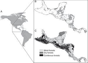 Study area representing the whole American continent (A) used to capture the complete response curves of the target species, the geographic distribution of the World Database on Protected Areas (WDPA) network (B) and the geographical distribution of WWF Terrestrial Ecoregions map (representing the moist, dry and coniferous forest biomes) (C) in Mesoamerica.