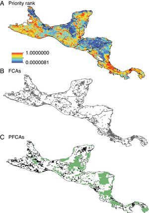 Biogeographical patterns of tree priority rank (A), forest conservation areas (FCAs) (B) and priority forest conservation areas (PFCAs) (C) in Mesoamerica. The green and black cells in (C) indicate areas already represented by the current protected areas network and PFCAs in Mesoamerica, respectively.