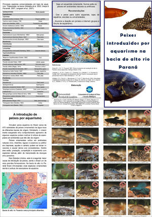 Example folder with information on species of non-native ornamental fish, in order to instruct aquarist and society in general. Folder reproduced of Garcia et al. (2014).