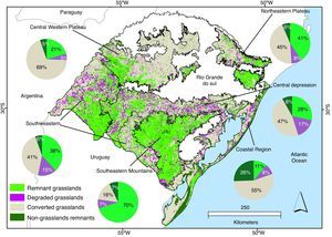 Distribution of grassland remnants and degraded grassland in RS State. The map is based on Landsat ETM+ images (spatial resolution: 30m). Grassland areas with clearly visible signs of former land-use change (e.g. use as agricultural field) are considered as degraded, i.e. reflect past land-use change. Original grassland areas that have been completely transformed to other uses and not recovered to grassland comprise the category ‘converted’. Regions in white are those where natural vegetation cover is forest.