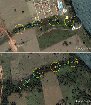 Areas sampled by Ramos and Anjos (2014): A=Caracu Stream and B=São Pedro River. In each area, the authors sampled four points, which I tentatively positioned, accordingly their statements: the first point was at a distance of 100m from the confluence of each stream in the Paraná River, and the other three were 200m distant from one another, along a transect through the riparian vegetation. However, following these criteria, point #4 from “A” would fall in the upstream limit of the arboreal vegetation, close to a road. Therefore, I believe that in “A” the authors marked each point after 200m counted in trails inside the vegetation. At each point, authors counted forest birds in a fixed radius of 50m (circumferences). Note that the arboreal vegetation inside the circumferences is not homogeneous between areas. The background is based on a satellite image from Google Earth Pro 7.1.2.2041 (dated 14 December 2005). The north is directed toward the right of the images.
