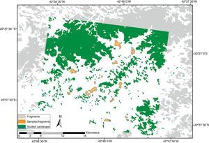 Distribution of Atlantic Forest fragments in the studied landscape, located at the state of Rio de Janeiro, southeastern Brazil.