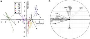 (A) Principal component analysis of the structure of bird functional groups for the three forest fragments (PG, FA and FC) and their respective adjacent reforested areas (RG, RA and RC). (B) The correlation circle indicates the importance of each functional group on the first and second principal component axis, which jointly explained 43.17% of the variation. Functional groups are coded as: bamboo insectivores (BIN), carnivores (CAR), canopy insectivores (CIN), edge granivores (EGR), large frugivores (mass >80.1g; LFR), small frugivores (mass ≤80.1g; SFR), leaf insectivores (LIN), nectarivores/insectivores (NEC), nocturnal insectivores (NOI), omnivores/insectivores (OIN), omnivores (OMN), terrestrial granivores (TGR), terrestrial insectivores (TIN), trunk and twig insectivores (TTI) and understory insectivores (UIN).