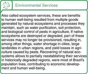 Environmental services – definition and implications for the Native Vegetation Protection Law.