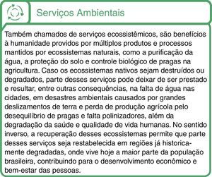 Serviços ambientais – definição e implicações da Lei de Proteção da Vegetação Nativa.