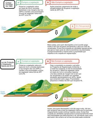 Como a Lei de Proteção da Vegetação Nativa definiu que a largura da faixa de mata ciliar a ser recuperada varia em função do tamanho da propriedade rural, poderá haver mudanças bruscas de tamanho de vegetação ciliar entre propriedades vizinhas, o que levará a uma descontinuidade das funções ecológicas, como a proteção do solo e da água e seu uso como corredor ecológico pela fauna.