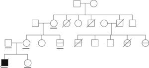 Árbol genealógico de la familia presentada. Símbolos: sujeto con barra horizontal inferior: estudiado con secuenciación del gen RANBP2. Sujeto relleno por barra horizontal: encefalopatía confirmada asociada a infecciones. Sujeto relleno por completo: caso índice.