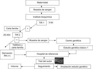 Algoritmo para el protocolo de criba neonatal de fibrosis quística.
