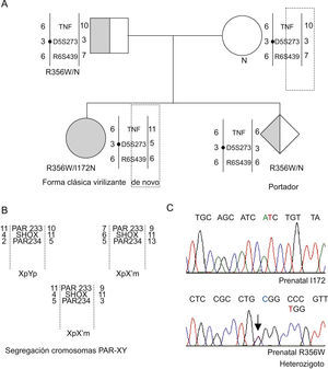 A) Representación del árbol familiar con la segregación de los alelos CYP21A2, tanto directa como indirecta. Los cromosomas se esquematizan como barras en las que se indican de forma numérica los distintos tipos de alelos de los microsatélites D6S273, D6S439 y el marcador intrónico de TNF y el haplotipo que configuran para cada uno de los cromosomas 6p del grupo familiar. B) También se recoge la segregación informativa de los cromosomas sexuales mediante la utilización de los marcadores de la región PAR, DXY233, DXY234 y microsatélite intragénico del gen SHOX. Estudios de secuenciación parcial de los exones 4 y 8 de la muestra prenatal que documentan que el nuevo hijo es únicamente portador de la mutación 356W.