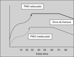 La obtención del pico de masa ósea en la prevención de la osteoporosis.
