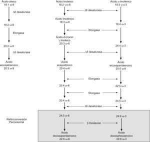 Transformación metabólica de los ácidos grasos n-9, n-6 y n-3. Tomado con permiso de: Valenzuela A y Uauy R. En: Gil A. Tratado de Nutrición, 2005.