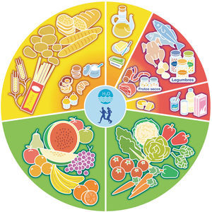 Rueda de los Alimentos. Fuente: Sociedad Española de Dietética y Ciencias de la Alimentación (SEDCA), 2005