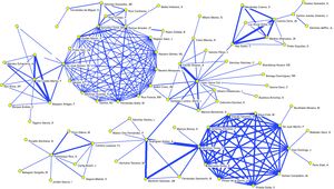 Núcleo principal de investigadores identificado en Anales de Pediatría (2003-2009) aplicando un umbral o intensidad de colaboración ≥ 3 documentos en coautoría.