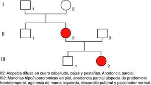Árbol genealógico de la familia de los casos 3 y 4.
