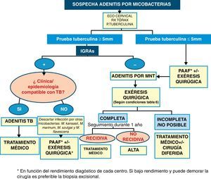 Resumen actuación diagnóstico-terapéutica en caso de sospecha de adenitis por micobacterias.