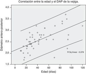 Correlación entre la edad y el diámetro anteroposterior (DAP) de la vejiga.