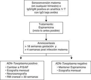 Algoritmo de actuación ante el diagnóstico o la sospecha de infección materna durante la gestación.